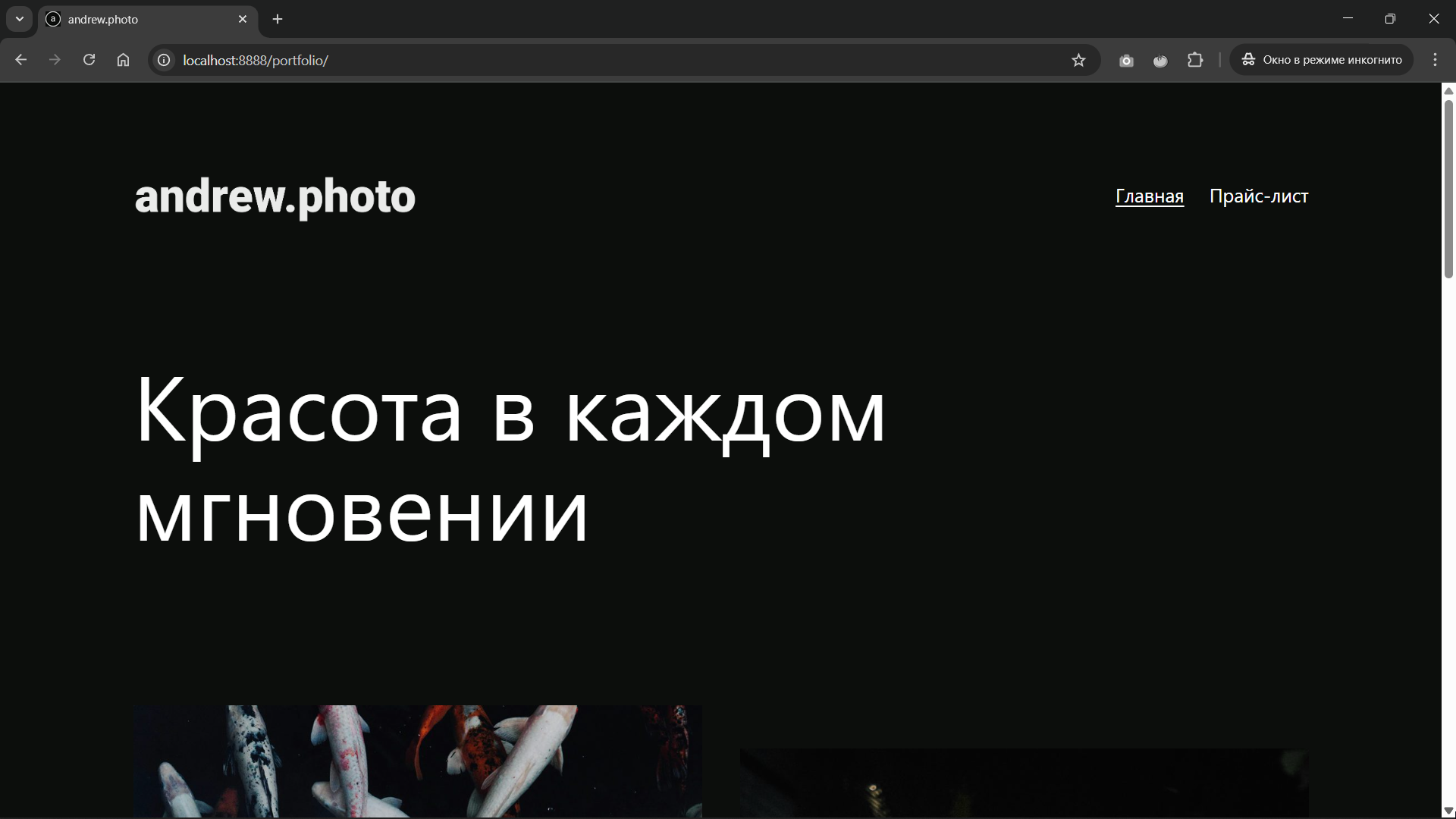 screenshot-wordpress